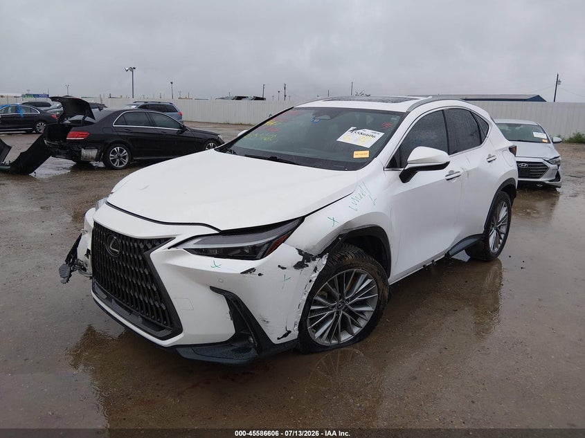 2023 Lexus Nx 350H Premium VIN: JTJGKCEZXP5007713 Lot: 45586606