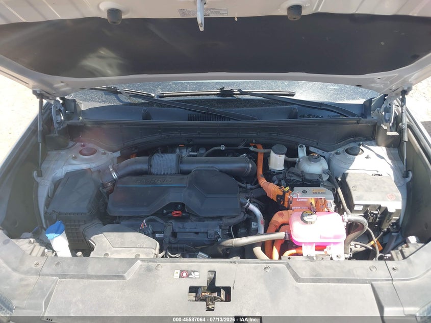 2025 Hyundai Santa Fe Hybrid Sel VIN: 5NMP24G15SH050491 Lot: 45587064