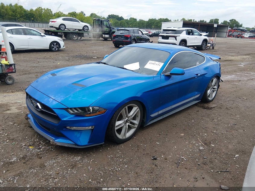2019 Ford Mustang, Rear, IAAI, VIN 1FA6P8TH4K5201269 — photo 2