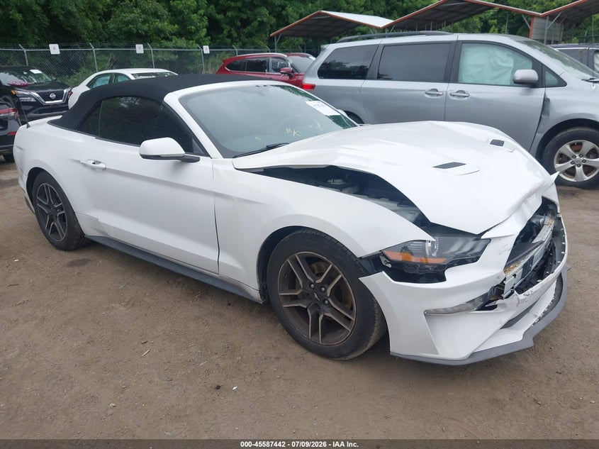FORD MUSTANG - zdjęcie 1