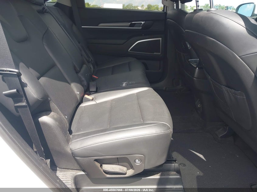 2021 Kia Telluride Lx VIN: 5XYP24HC4MG172028 Lot: 45587666