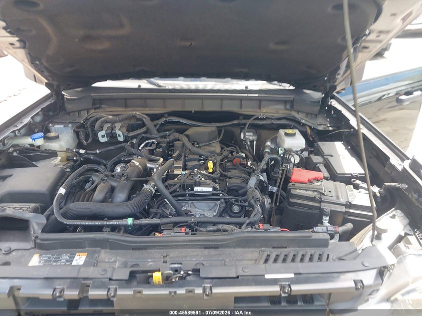 2024 Ford Bronco Big Bend VIN: 1FMDE7BH2RLB07346 Lot: 45589591