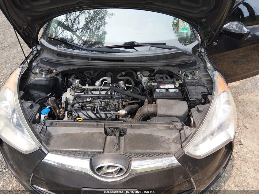 2012 Hyundai Veloster Base W/Black VIN: KMHTC6ADXCU065505 Lot: 45591255