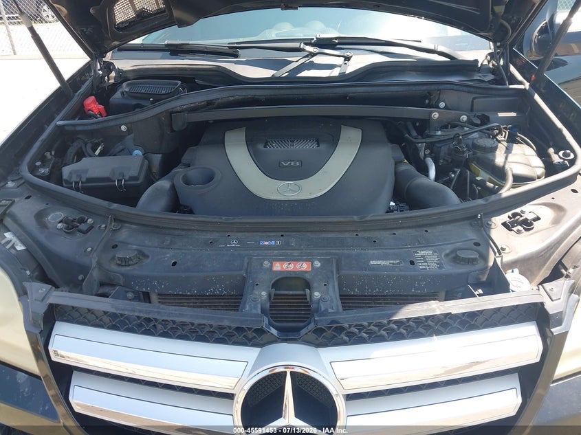 2010 Mercedes-Benz Gl 450 4Matic VIN: 4JGBF7BE3AA588976 Lot: 45591453