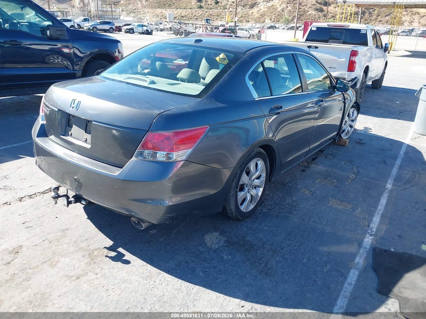 AtlanticExpress - Honda Accord