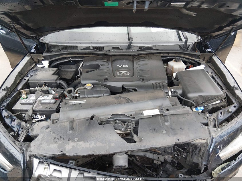 2020 Infiniti Qx80 Luxe VIN: JN8AZ2NF6L9705165 Lot: 45591803