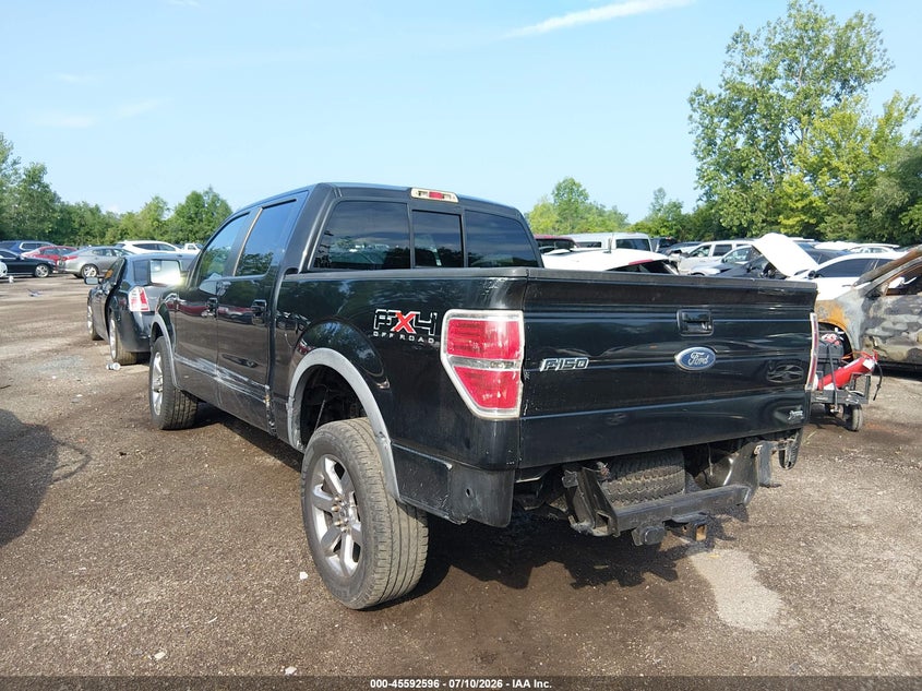 2010 FORD F-150 auction photo 3