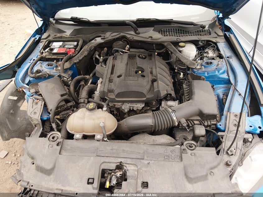 2019 Ford Mustang Ecoboost Premium VIN: 1FATP8UH9K5115599 Lot: 45592864