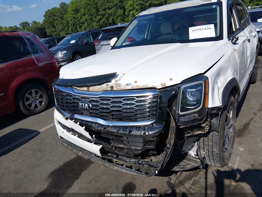 2020 Kia Telluride Ex VIN: 5XYP34HC3LG032015 Lot: 45593436