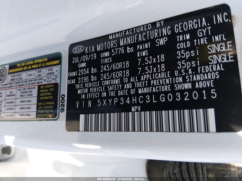 2020 Kia Telluride Ex VIN: 5XYP34HC3LG032015 Lot: 45593436