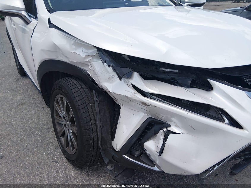 2019 Lexus Nx 300H VIN: JTJBJRBZ6K2100372 Lot: 45593714