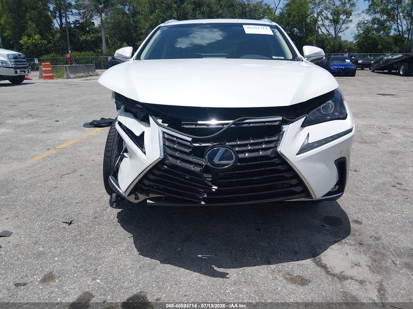 2019 Lexus Nx 300H VIN: JTJBJRBZ6K2100372 Lot: 45593714