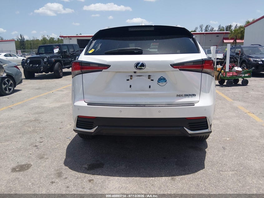 2019 Lexus Nx 300H VIN: JTJBJRBZ6K2100372 Lot: 45593714
