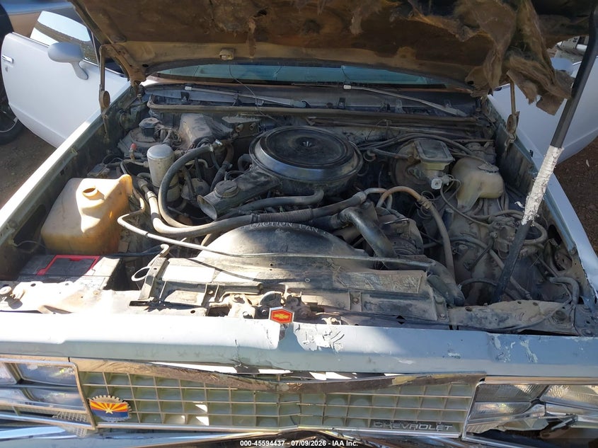 1983 Chevrolet El Camino VIN: 1GCCW80H4DR132101 Lot: 45594437