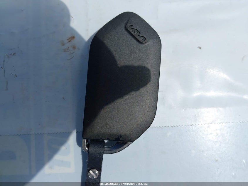 2024 Kia Telluride Ex VIN: 5XYP3DGC8RG485850 Lot: 45594540
