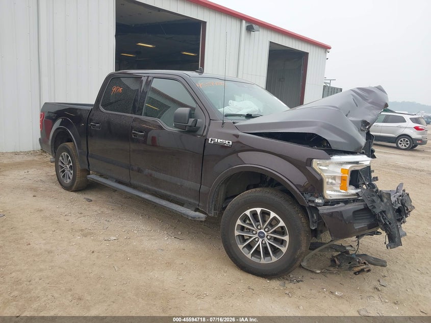 Vin: 1ftew1epxkfd13511, lot: 46093095, ford f-150 xlt 2019 img_1
