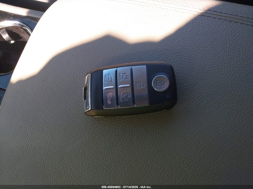 2020 Kia Sedona Sx VIN: KNDMC5C15L6614232 Lot: 45594982