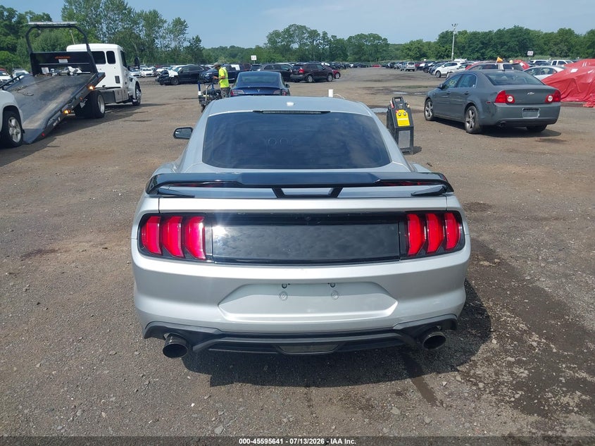2019 Ford Mustang Ecoboost VIN: 1FA6P8TH1K5116356 Lot: 45595641
