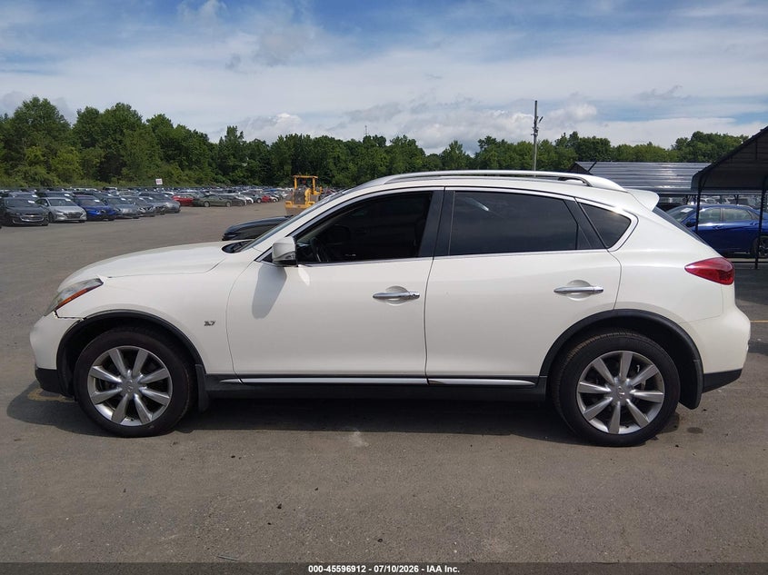 2017 Infiniti Qx50 VIN: JN1BJ0RR5HM410081 Lot: 45596912
