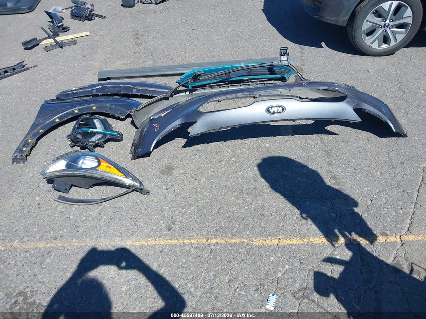 2019 Kia Niro Ev Ex Premium VIN: KNDCE3LG1K5022488 Lot: 45597409