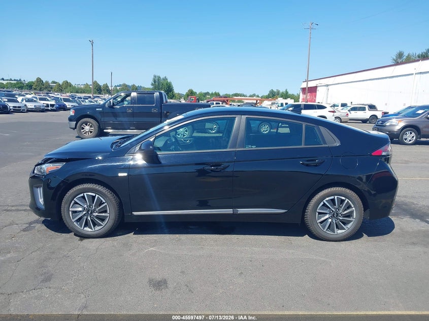 2020 Hyundai Ioniq Electric Se VIN: KMHC75LJ8LU060742 Lot: 45597497