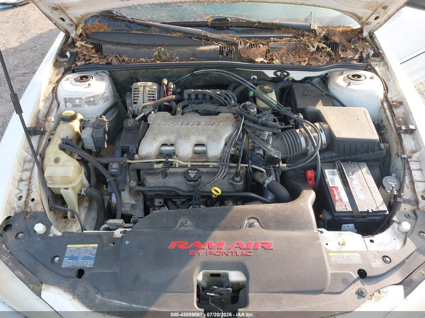 2003 Pontiac Grand Am Gt1 VIN: 1G2NV12E43C245431 Lot: 45598067