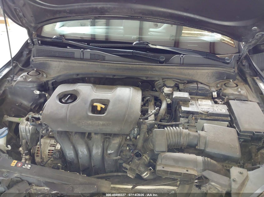 2021 Kia Forte Lxs VIN: 3KPF24AD7ME377161 Lot: 45598327