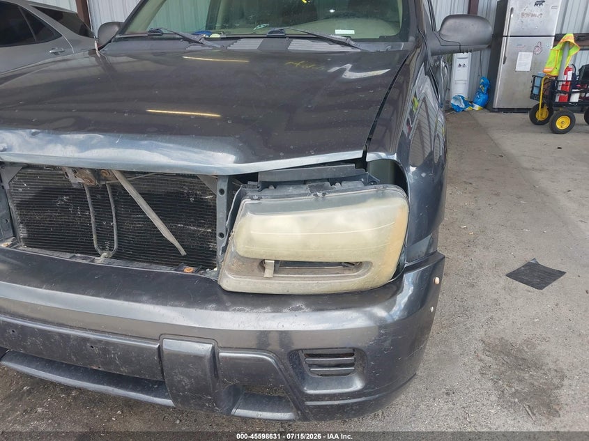 2004 Chevrolet Trailblazer Ls VIN: 1GNDT13S542441586 Lot: 45598631