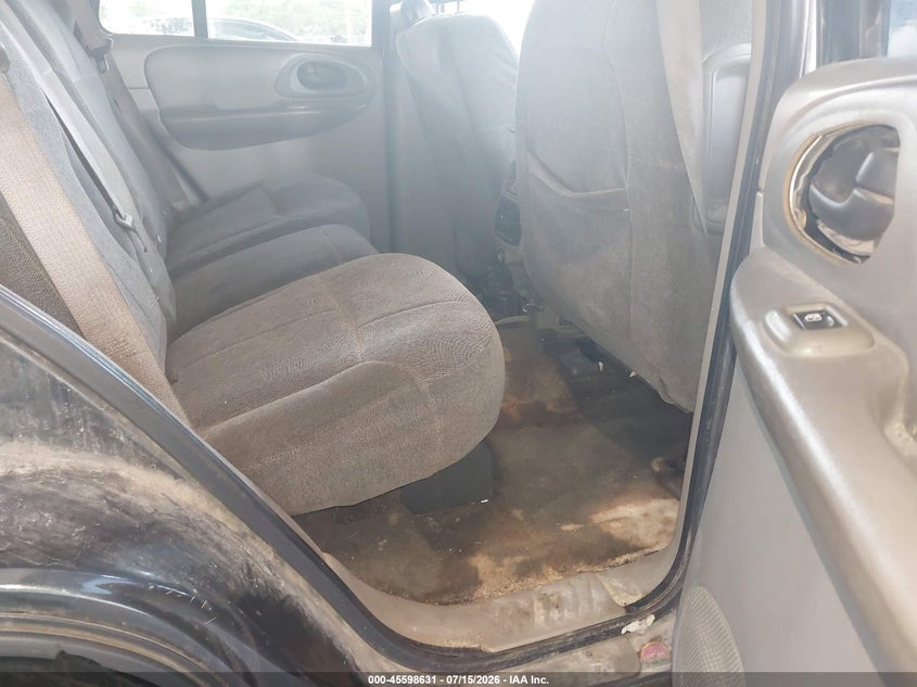 2004 Chevrolet Trailblazer Ls VIN: 1GNDT13S542441586 Lot: 45598631