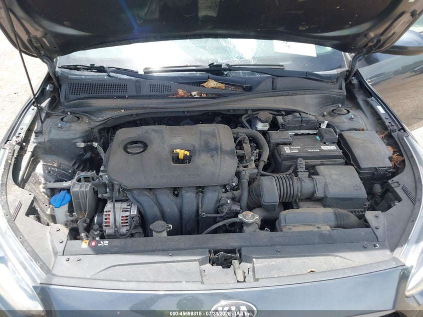 2020 Kia Forte Lxs VIN: 3KPF24AD7LE148932 Lot: 45598815