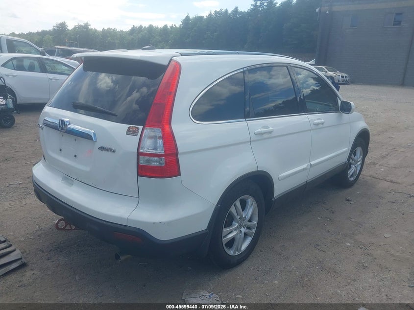 2010 HONDA CR-V auction photo 4