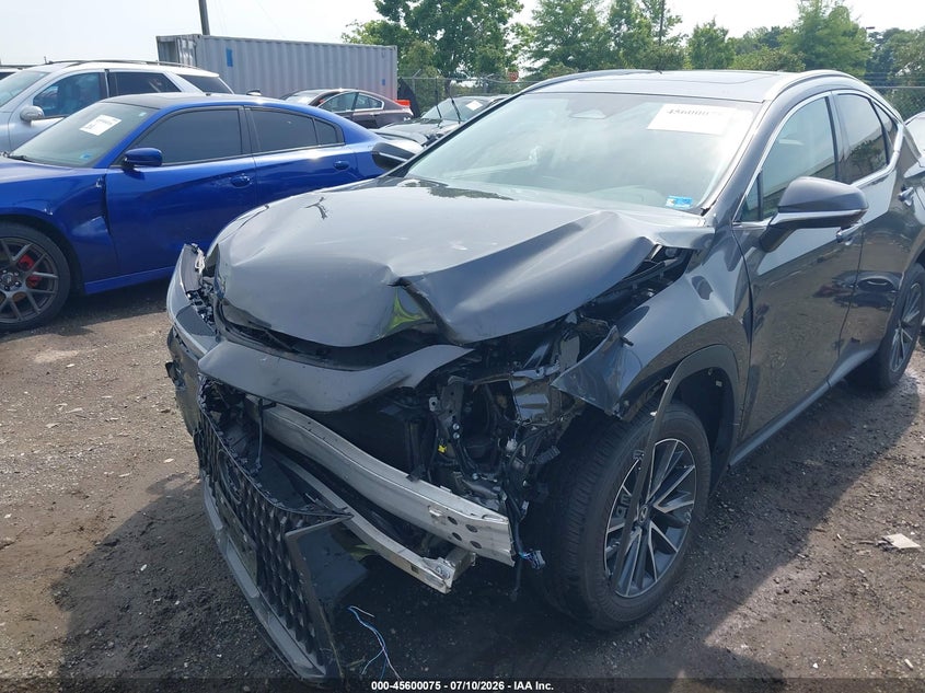 2025 LEXUS NX 350 auction photo 6