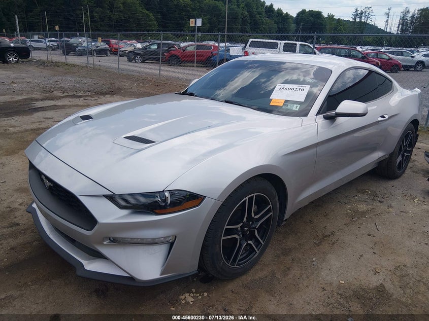 2019 Ford Mustang, Удар сзади, IAAI, VIN 1FA6P8TH1K5201133 — фото 2