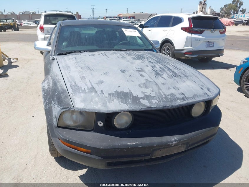 AtlanticExpress - Ford Mustang
