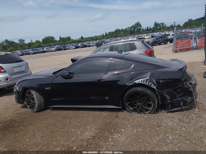 FORD MUSTANG - zdjęcie 14
