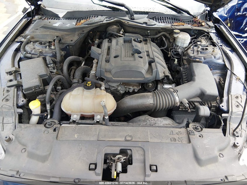2019 Ford Mustang Ecoboost VIN: 1FA6P8TH9K5200652 Lot: 45601216