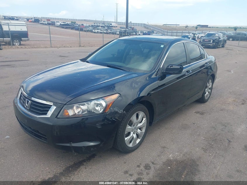 AtlanticExpress - Honda Accord