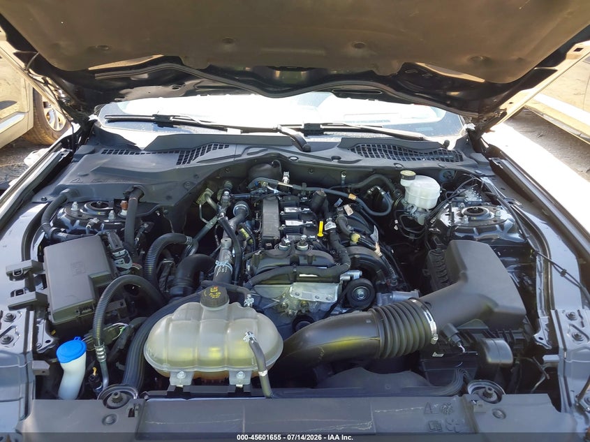 2023 Ford Mustang Ecoboost Premium Fastback VIN: 1FA6P8TH3P5102014 Lot: 45601655