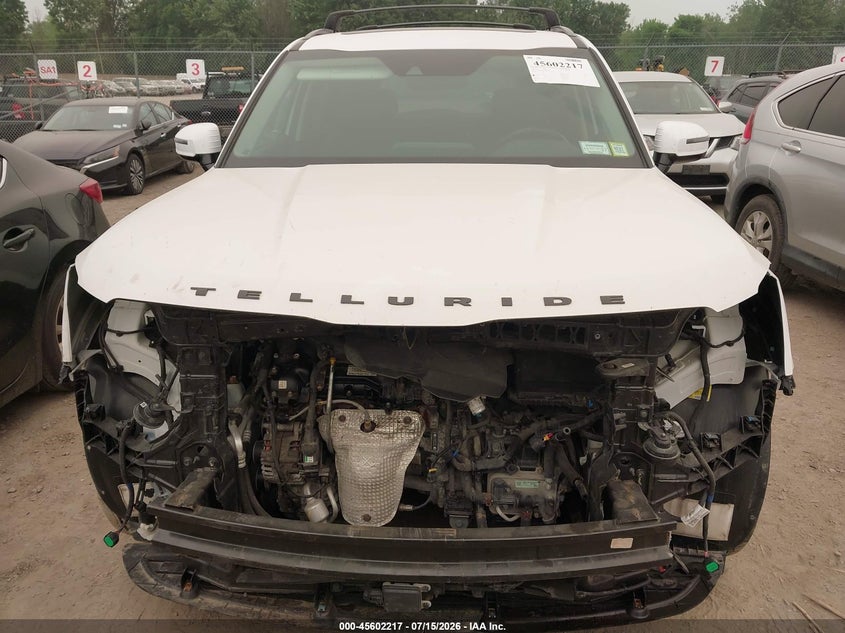 2021 Kia Telluride Sx VIN: 5XYP5DHC1MG125983 Lot: 45602217