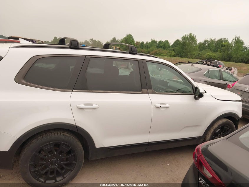 2021 Kia Telluride Sx VIN: 5XYP5DHC1MG125983 Lot: 45602217