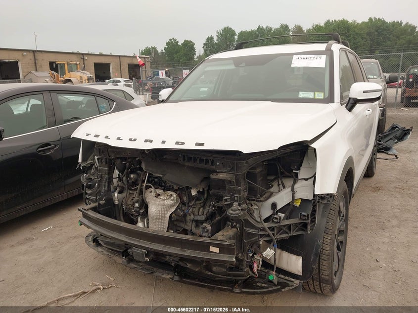 2021 Kia Telluride Sx VIN: 5XYP5DHC1MG125983 Lot: 45602217