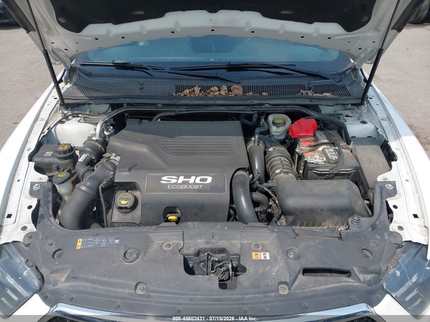 2019 Ford Taurus Sho VIN: 1FAHP2KT8KG117391 Lot: 45602431