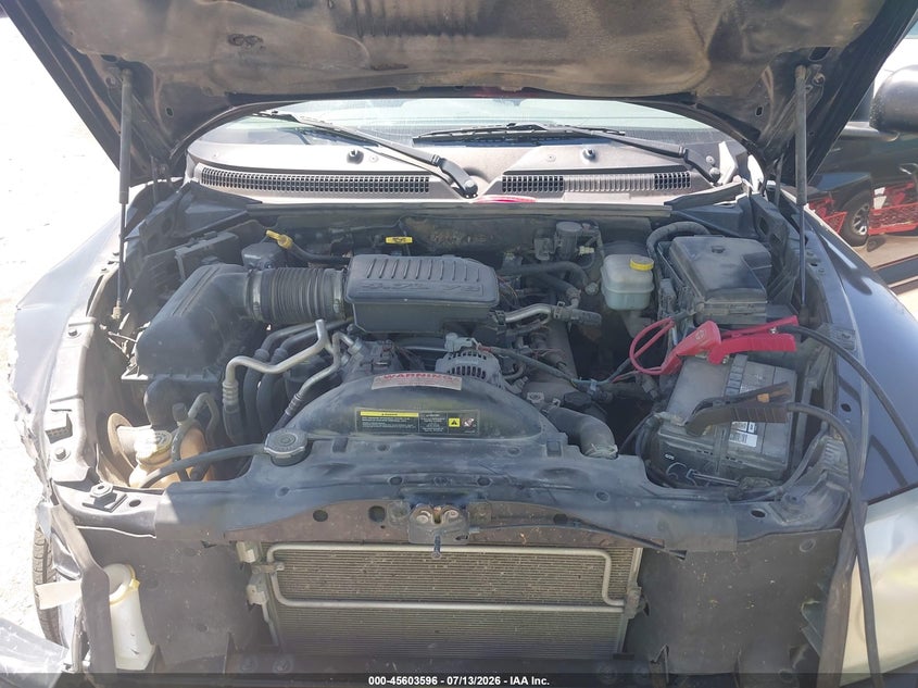 2007 Dodge Dakota Slt VIN: 1D7HW48J97S128134 Lot: 45603596