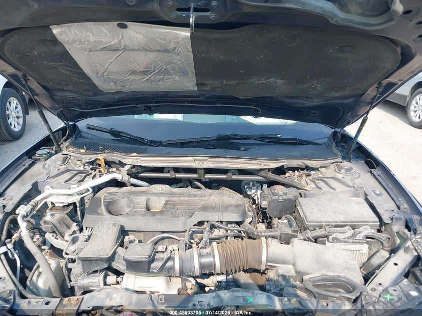 2021 Acura Tlx Technology Package VIN: 19UUB6F49MA007572 Lot: 45603705