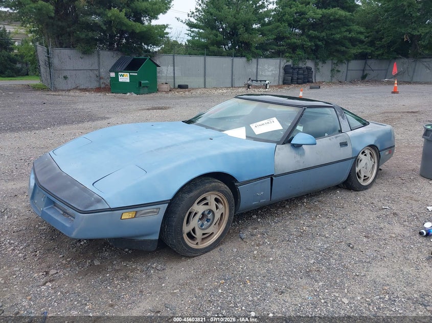 AtlanticExpress - Chevrolet Corvette