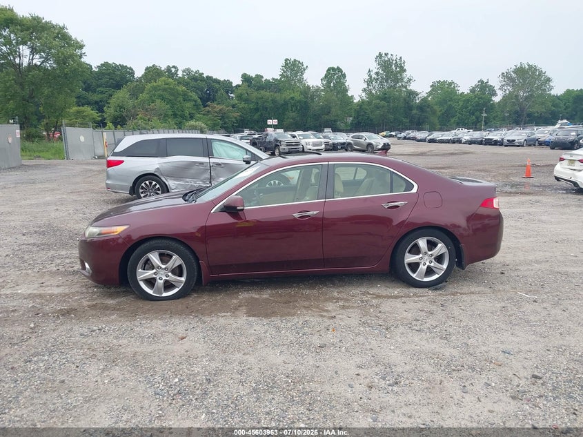 AtlanticExpress - Acura TSX