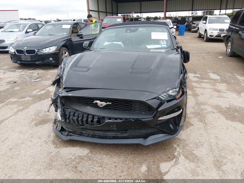 FORD MUSTANG - zdjęcie 12