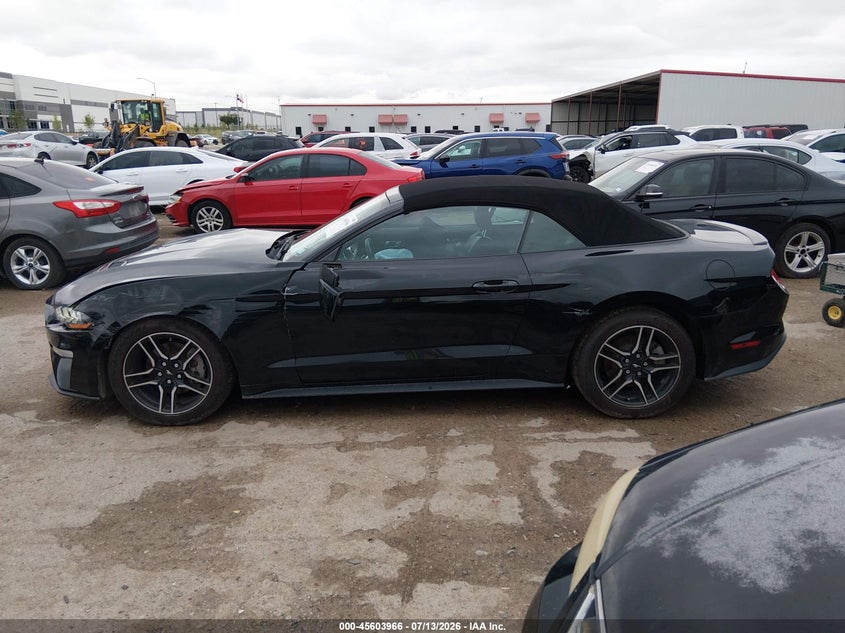 FORD MUSTANG - zdjęcie 14