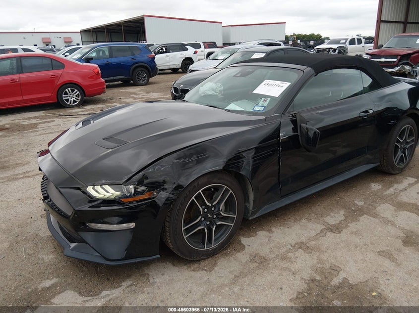 FORD MUSTANG - zdjęcie 6