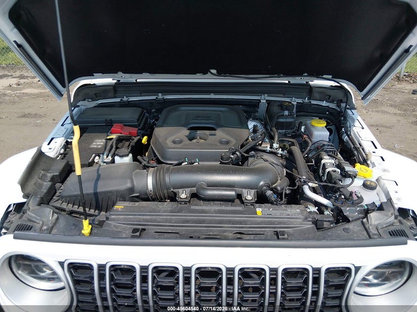 AtlanticExpress - Jeep Wrangler